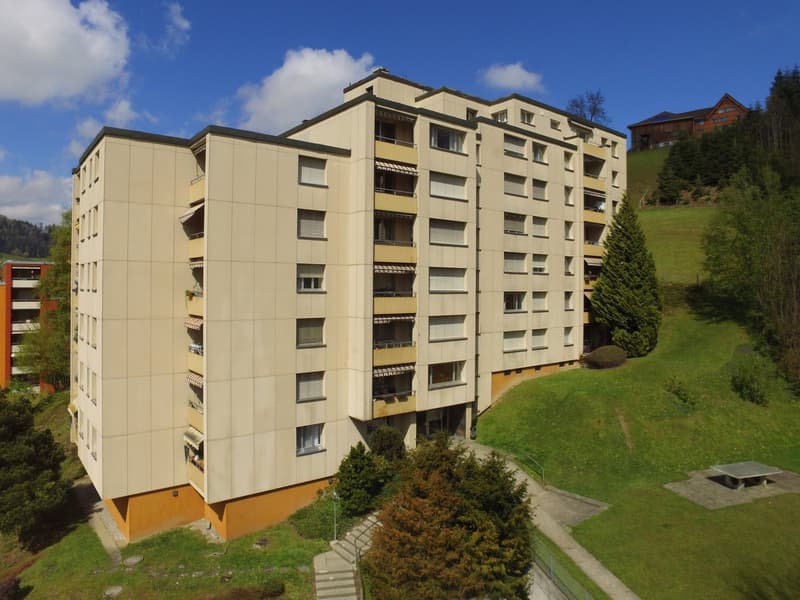 Spacious 3.5 room apartment with balcony (13)