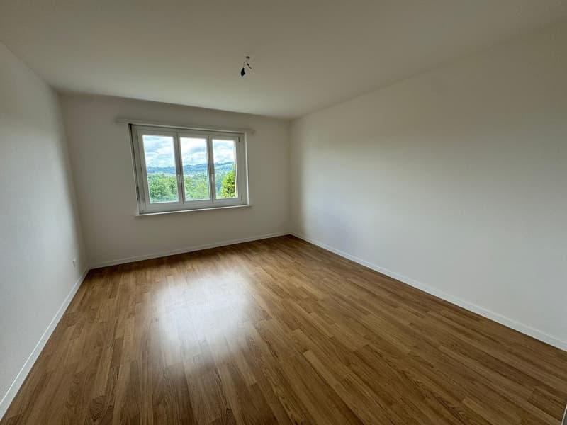 To rent spacious 4.5-room apartment (7)