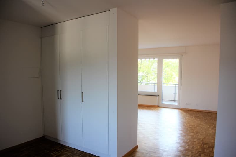 To rent spacious 4.5-room apartment (3)