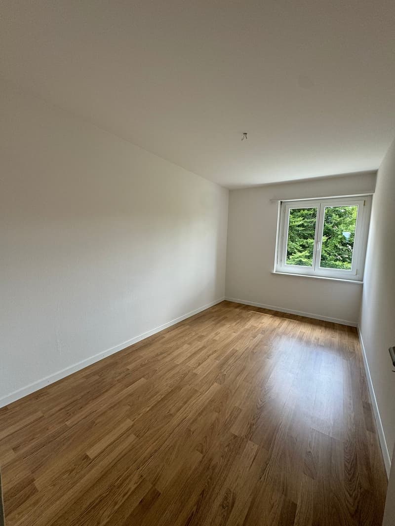 To rent spacious 4.5-room apartment (8)