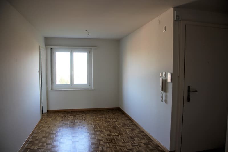 To rent spacious 4.5-room apartment (2)