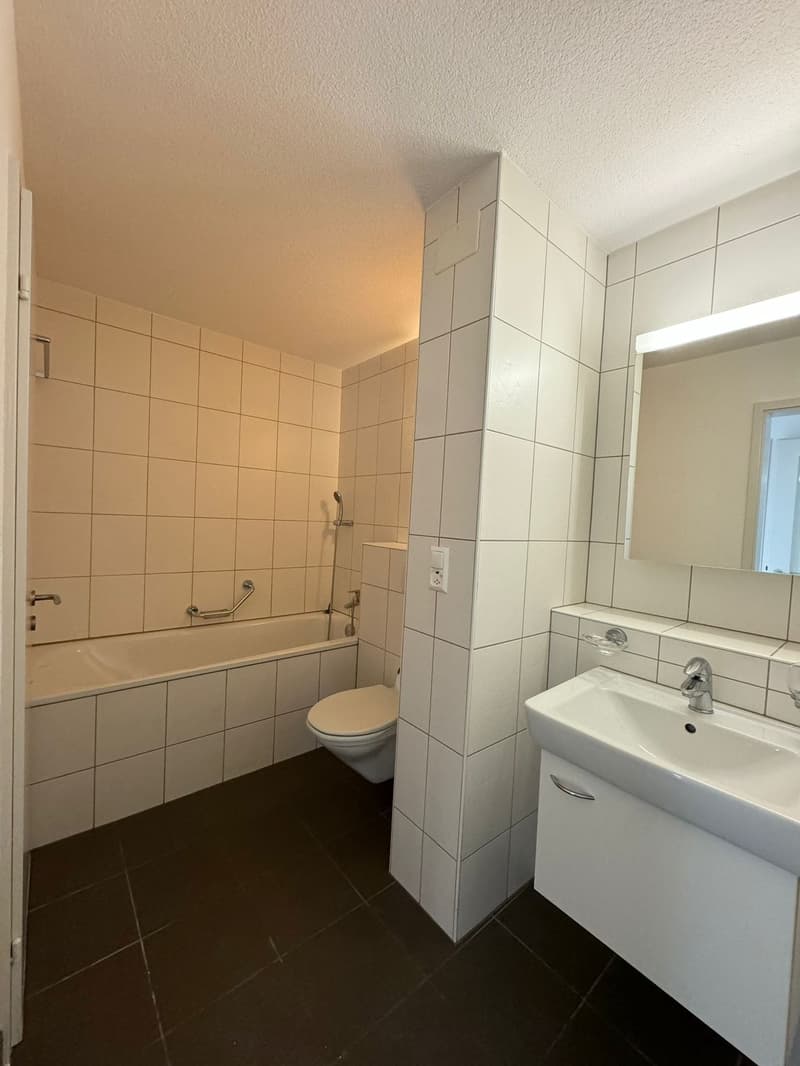 To rent spacious 4.5-room apartment (10)
