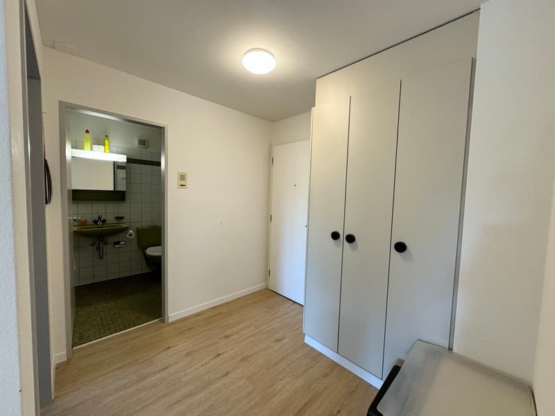 Appartamento di 2 camere con balcone ad Amriswil (2)