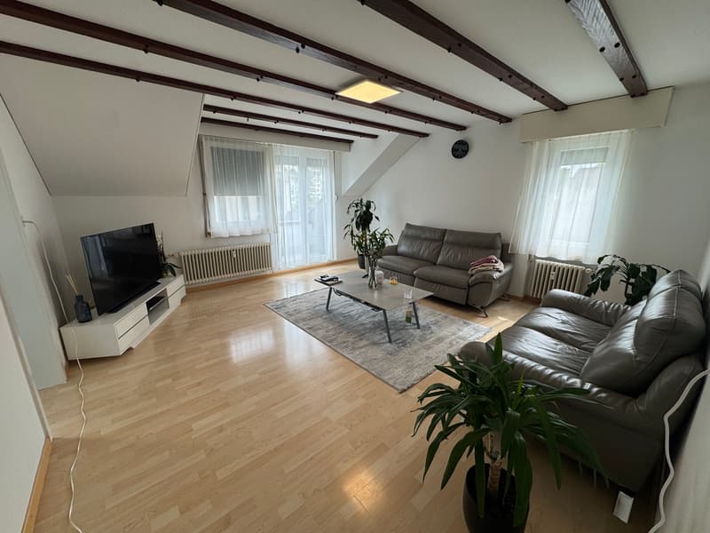 Appartamento luminoso, accogliente con ambiente di vita confortevole (1)