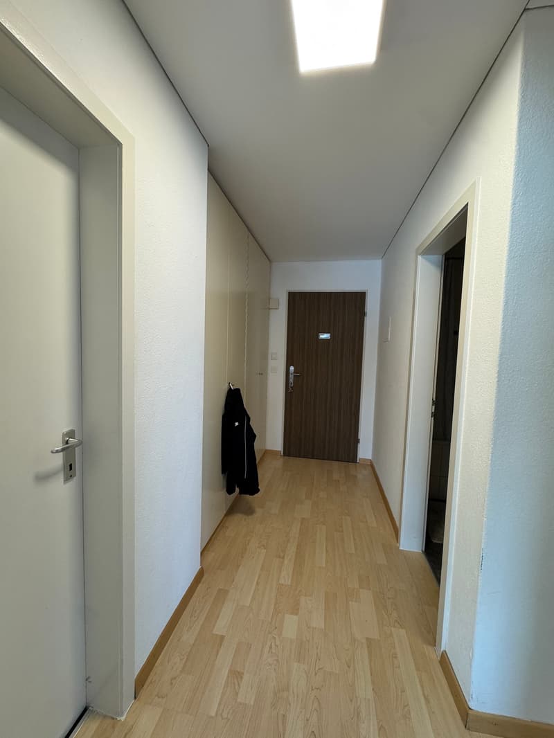 Appartamento luminoso, accogliente con ambiente di vita confortevole (6)