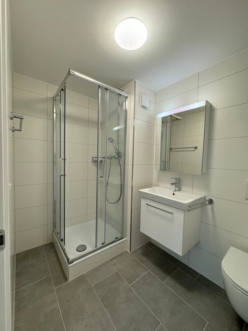 Appartement lumineux et accueillant au Riethüsli (3)