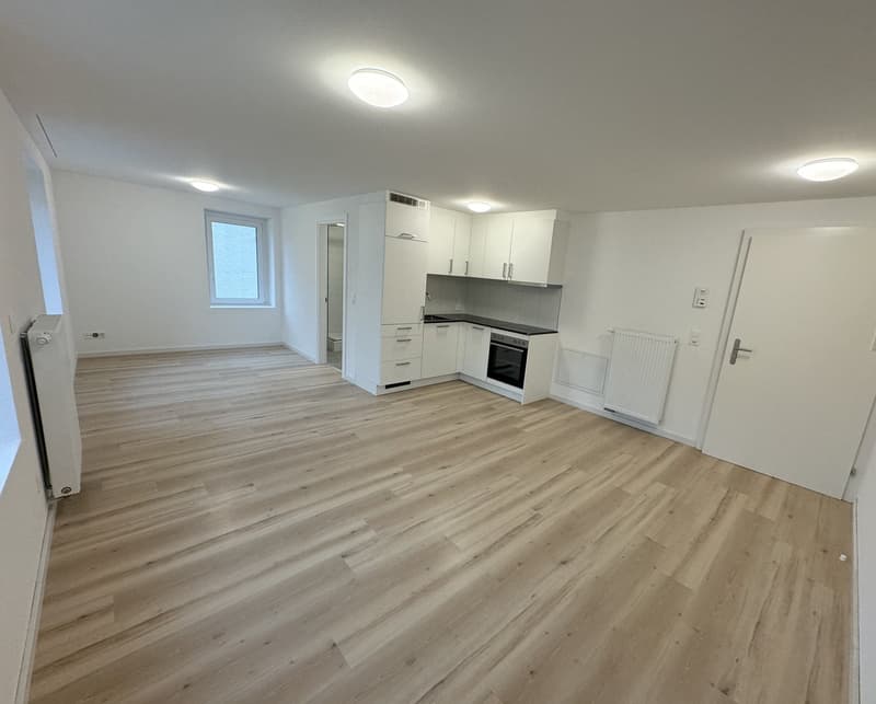 Appartement lumineux et accueillant au Riethüsli (1)