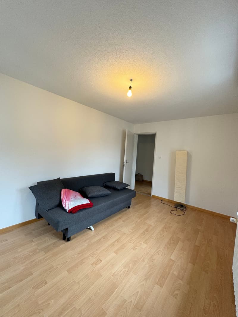Charming apartment in central location (4)