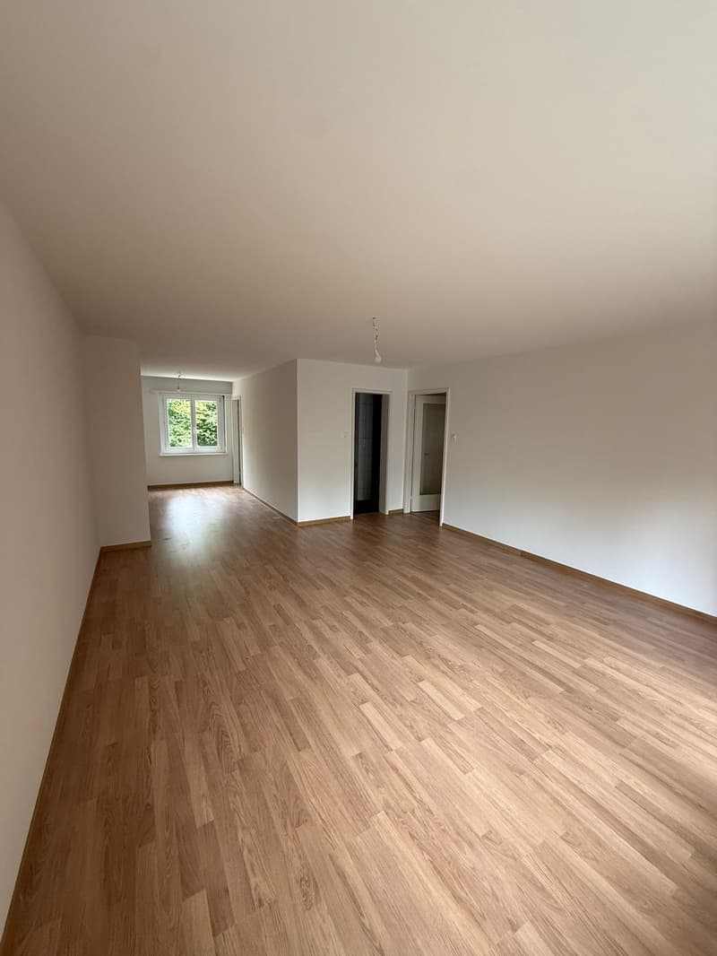 Grosszügige 5.5-Zimmer-Wohnung mit Balkon in St. Gallen (3)