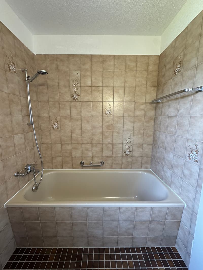 4-Bedroom Apartment with Balcony in St. Gallen (8)