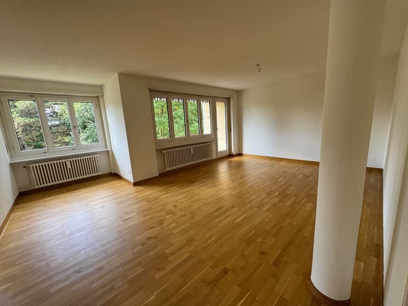 4-Bedroom Apartment with Balcony in St. Gallen (1)