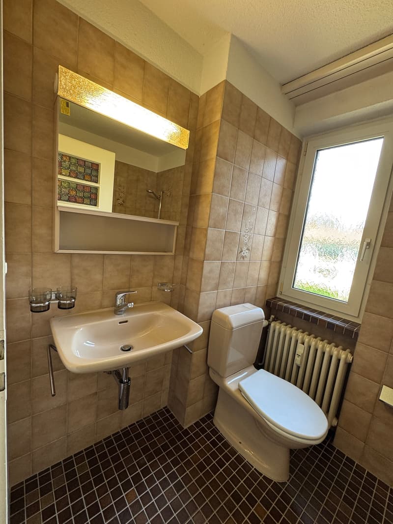 4-Bedroom Apartment with Balcony in St. Gallen (7)