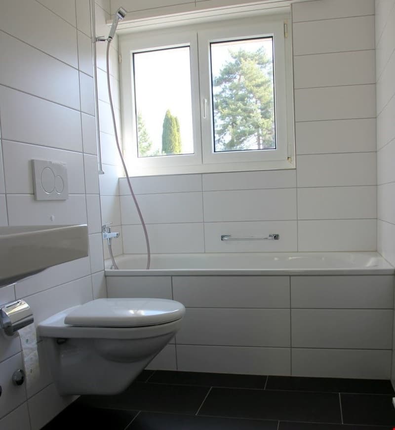 Cozy 2.5-room apartment with balcony in Wittenbach (8)