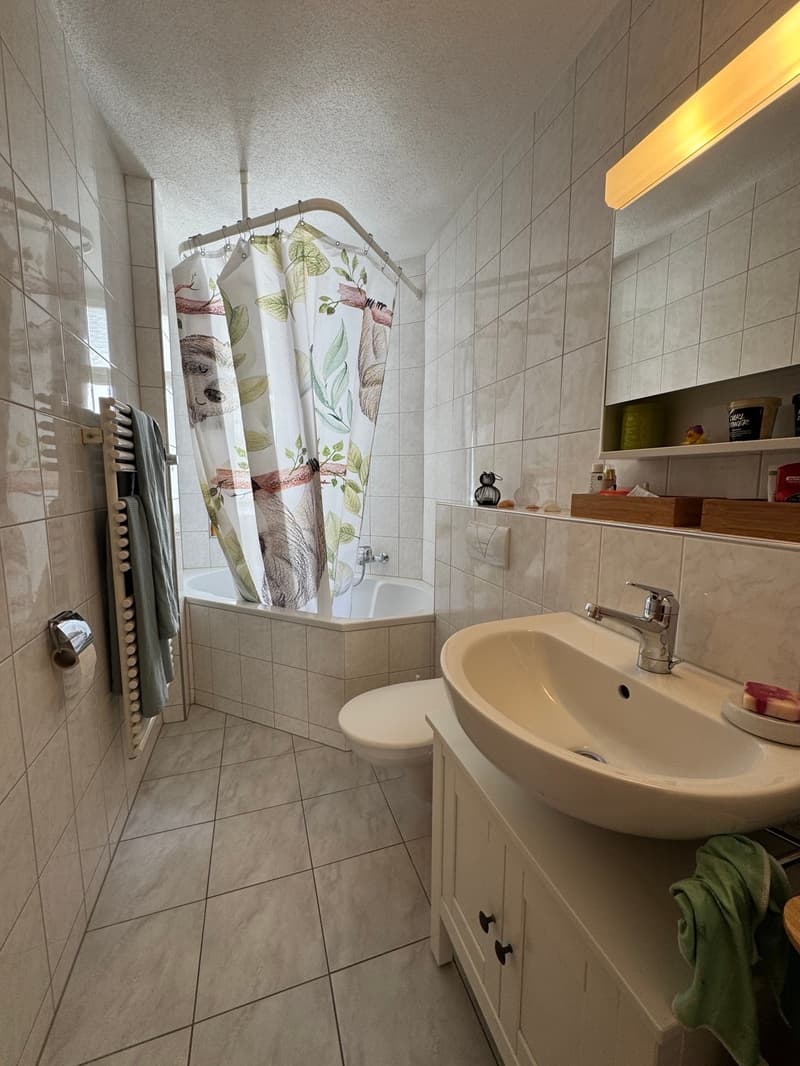 Bright 3-room apartment with balcony in St. Gallen (7)