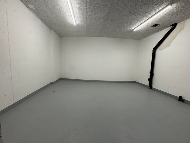 Versatile hobby room for rent in Berg TG (2)