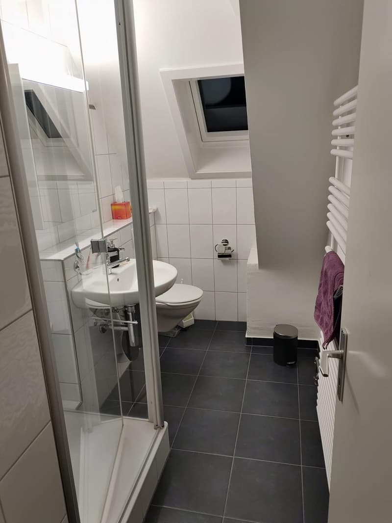 Attractive 3-room apartment in central location (5)