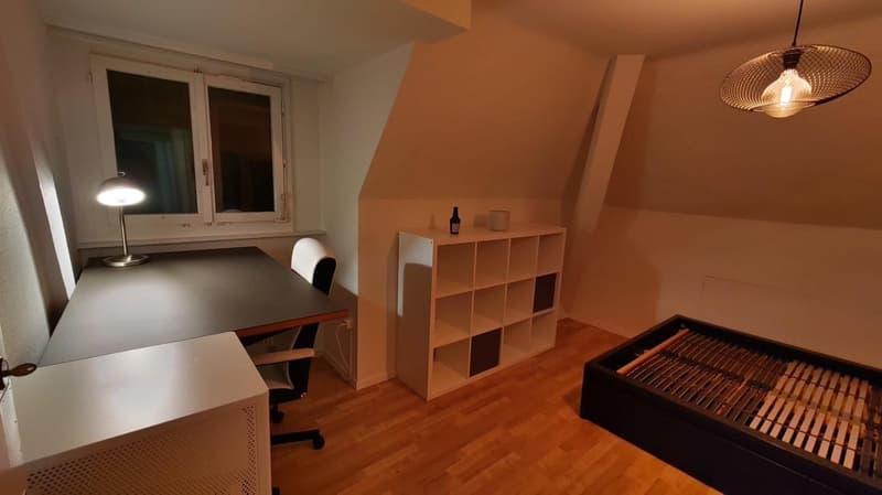 Attractive 3-room apartment in central location (3)