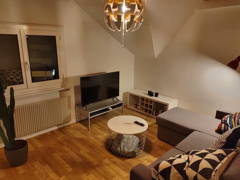 Attractive 3-room apartment in central location (2)
