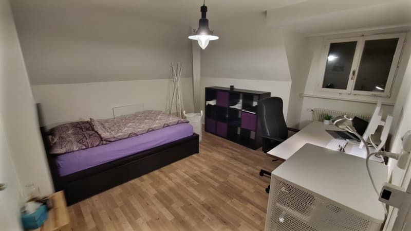 Attractive 3-room apartment in central location (1)