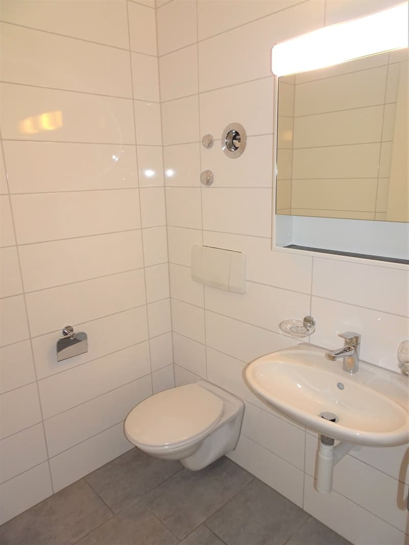 Helle 4.5-Zimmer-Wohnung mit Balkon (7)