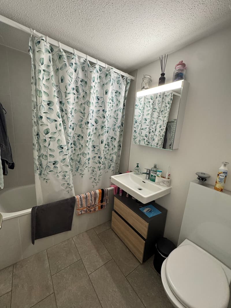Bright 3.5-room apartment with balcony in Arnegg (7)