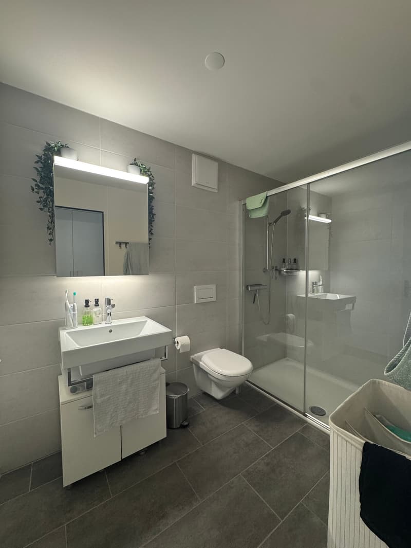 Modern 2.5-room apartment with balcony in Flawil (6)