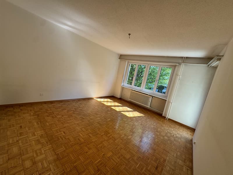 Cozy 3-room apartment with balcony in St. Gallen (2)