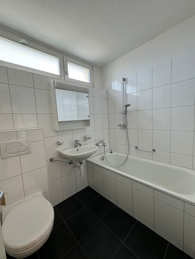 Voir à proximité appartement 4 pièces (9)