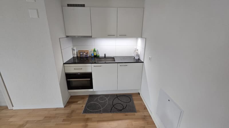 Gemütliches 1.5-Zimmer Wohnung in St. Gallen (2)