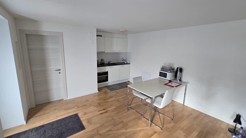 Gemütliches 1.5-Zimmer Wohnung in St. Gallen (1)