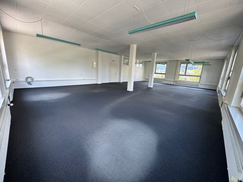 Attraktives Büro (Gewerberaum) 120m2 (2)