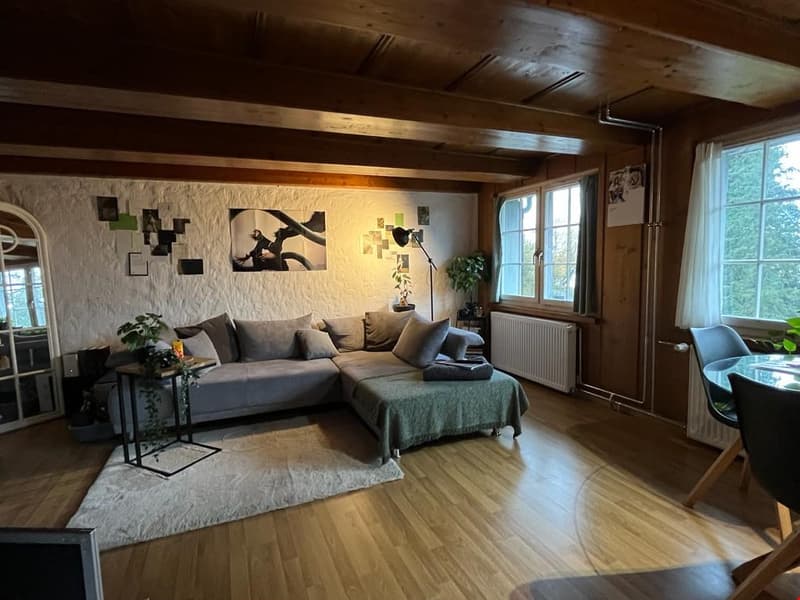 Charmante 2.5-Zimmer-Wohnung im Herzen von Arbon (2)