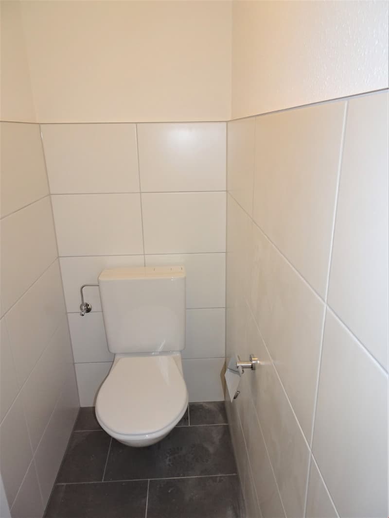 Schöne 5.5 Zi. Wohnung mit Balkon an bester Lage (10)