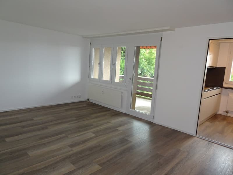 Moderne 2 Zi.Wohnung mit Balkon (6)