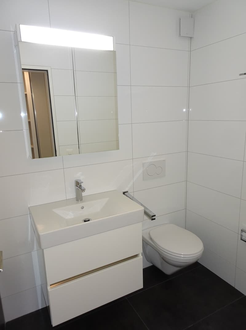 Moderne 2 Zi.Wohnung mit Balkon (9)