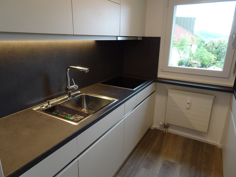 Moderne 2 Zi.Wohnung mit Balkon (3)