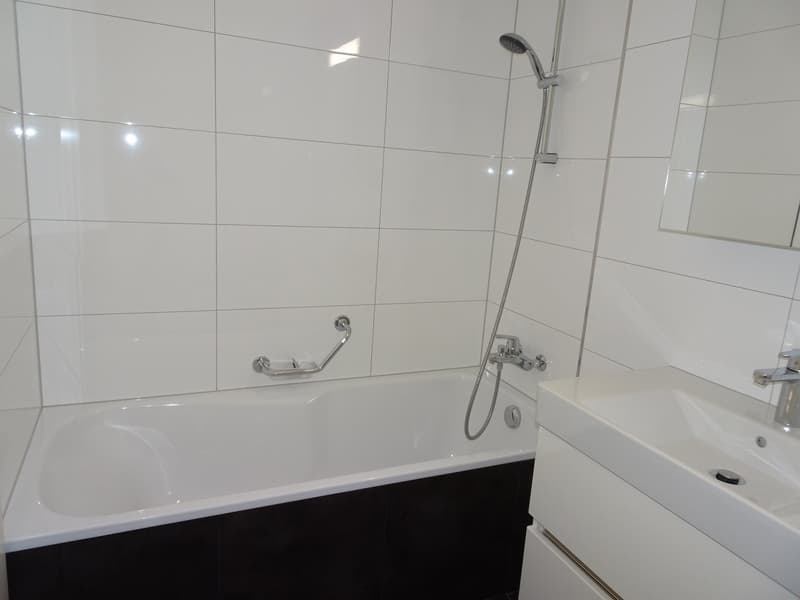 Moderne 2 Zi.Wohnung mit Balkon (10)