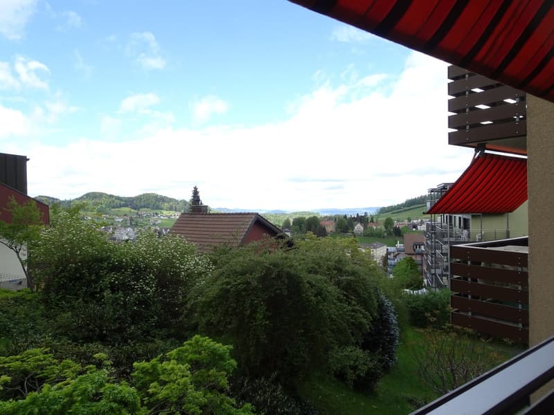 Moderne 2 Zi.Wohnung mit Balkon (7)