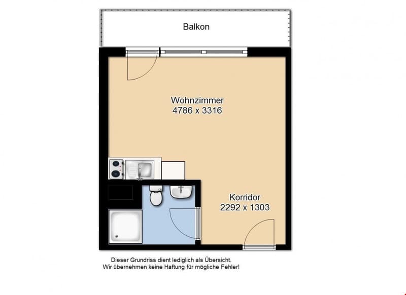 Single Wohnung mit Balkon *top moderne neue Küche* (4)
