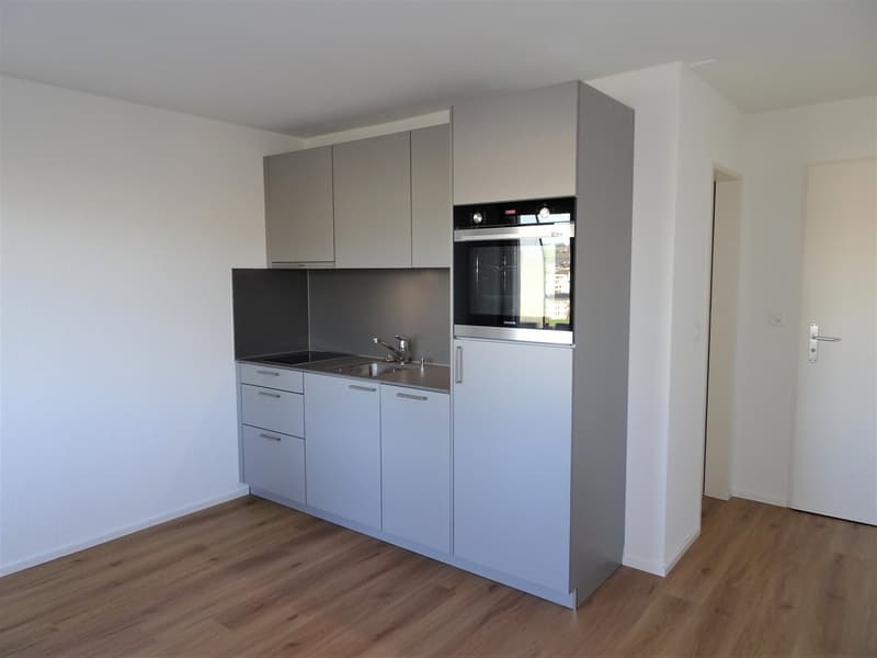 Single Wohnung mit Balkon *top moderne neue Küche* (1)