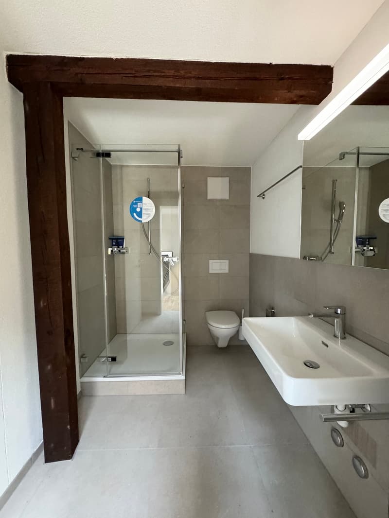 Charmante 1.5-Zimmer-Dachwohnung im Loft-Stil in St. Gallen (6)