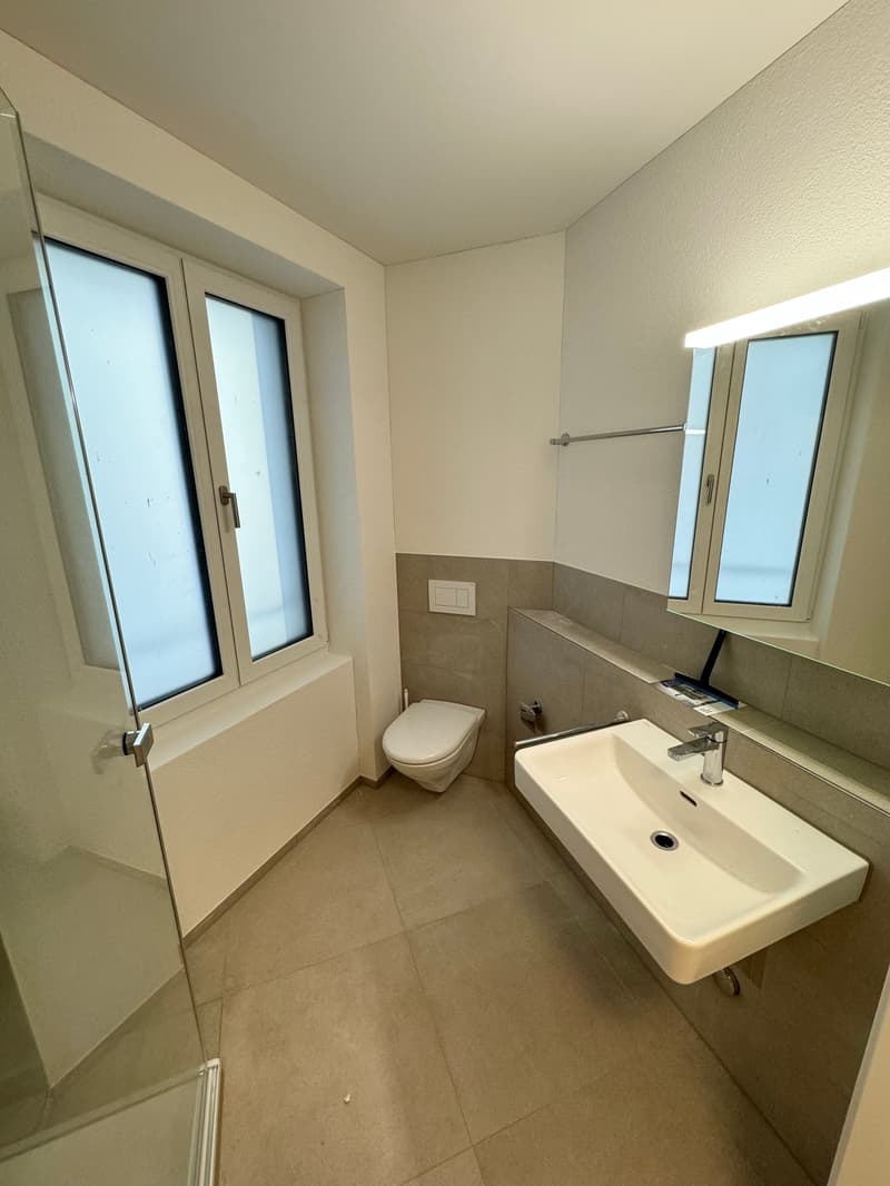 Ihr neues Zuhause in St. Gallen (4)