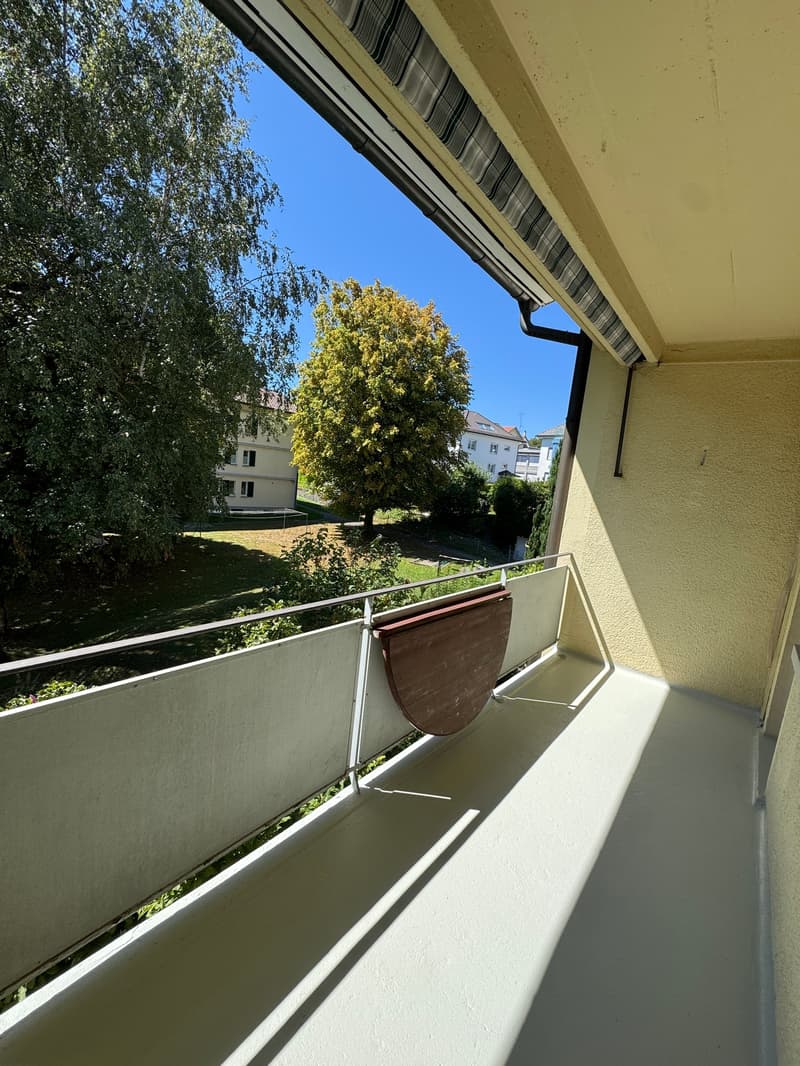 Gemütliche 3-Zimmer-Wohnung mit Balkon in St. Gallen (6)