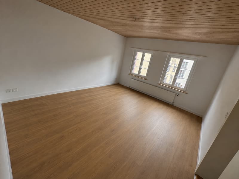 Attraktive Stadtwohnung (3)