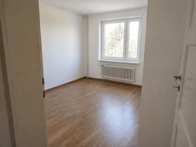 Helle 4-Zimmer-Wohnung mit Balkon in Kreuzlingen (6)