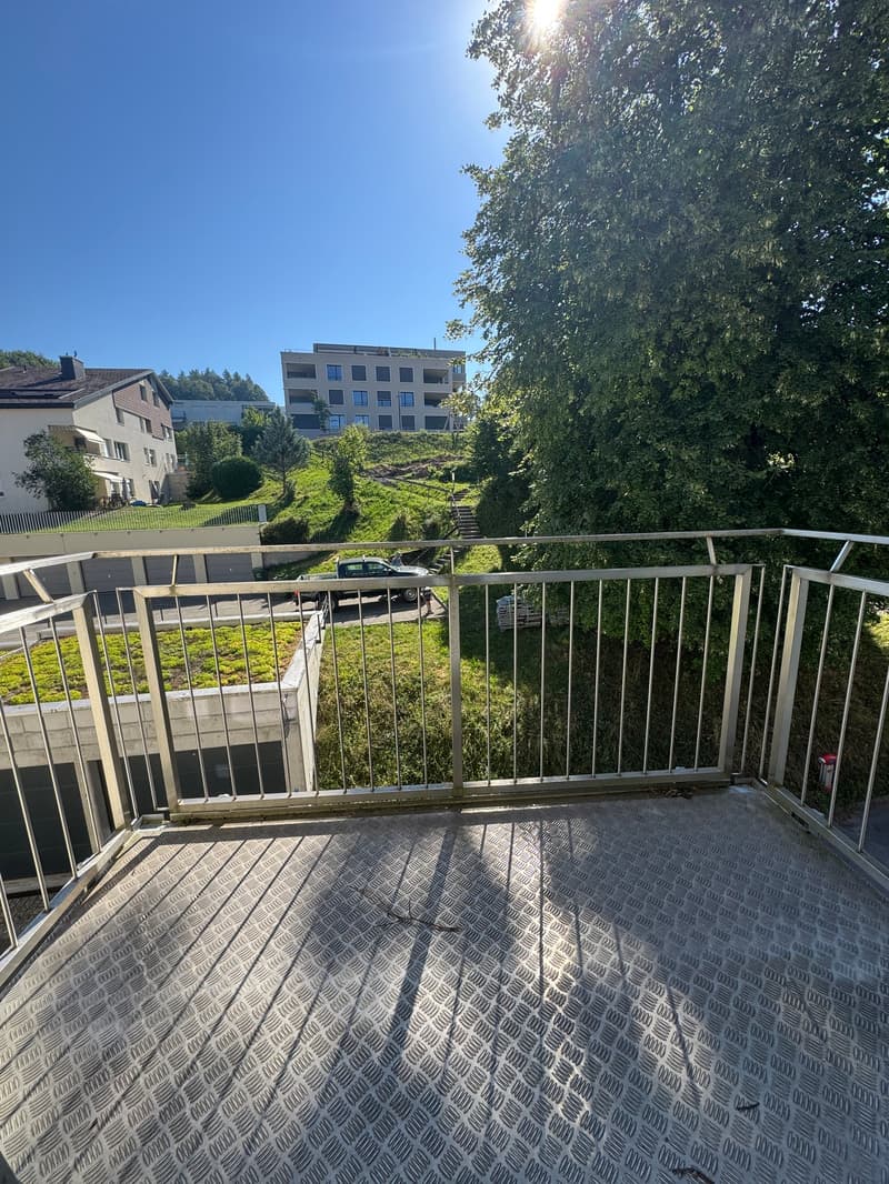 Gemütliche 1.5-Zimmer-Wohnung mit Balkon in St. Gallen (6)