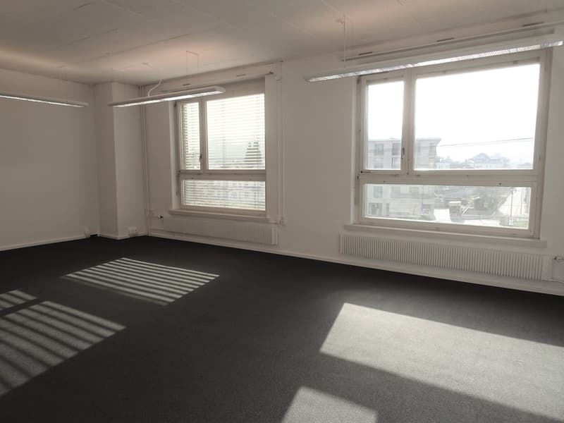 Attraktives Büro (Bastelraum) (1)