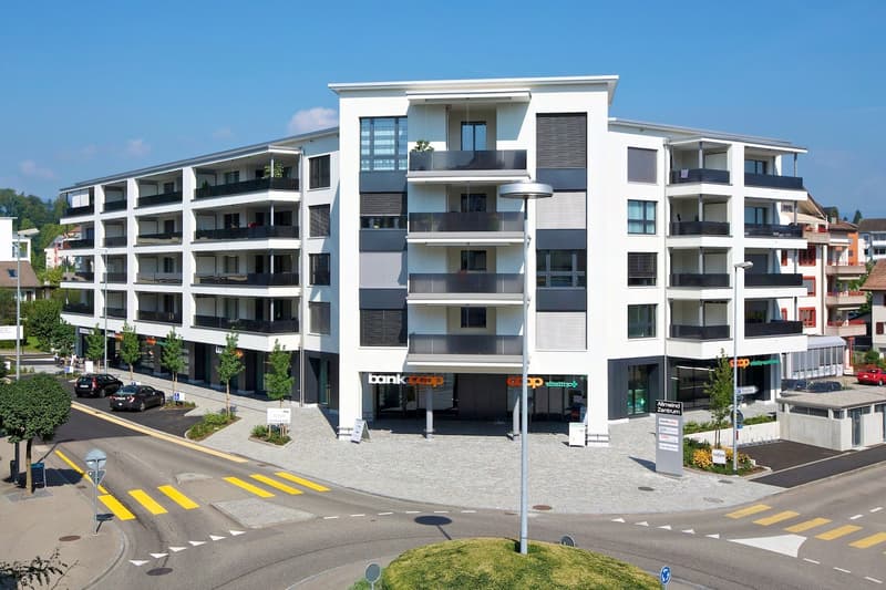 moderne Stadtwohnung mit Dachgartenoase (56 m2 Terrasse + Balkon 23 m2) (1)