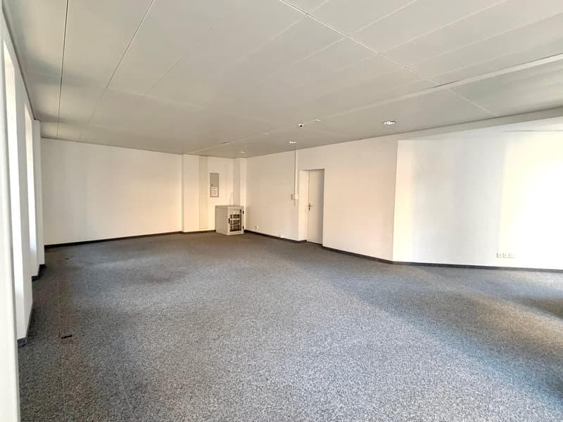 Empty room with white walls, gray carpet, white ceiling, small white door, small white cabinet, power outlets