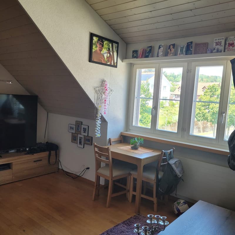 Appartement confortable sans balcon (6)